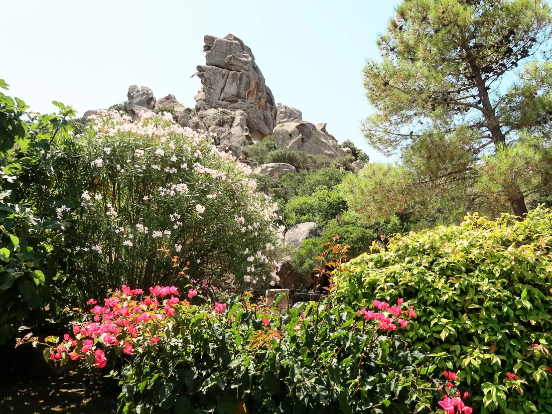 Maison de Vacances Palau