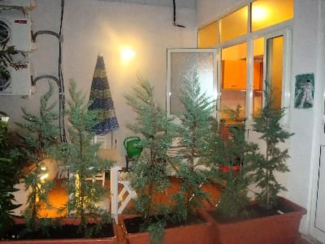 Résidence Wohnung in Palermo mit Terrasse