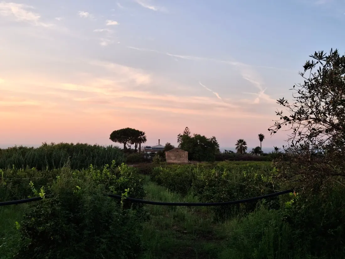 Maison de Vacances Partinico
