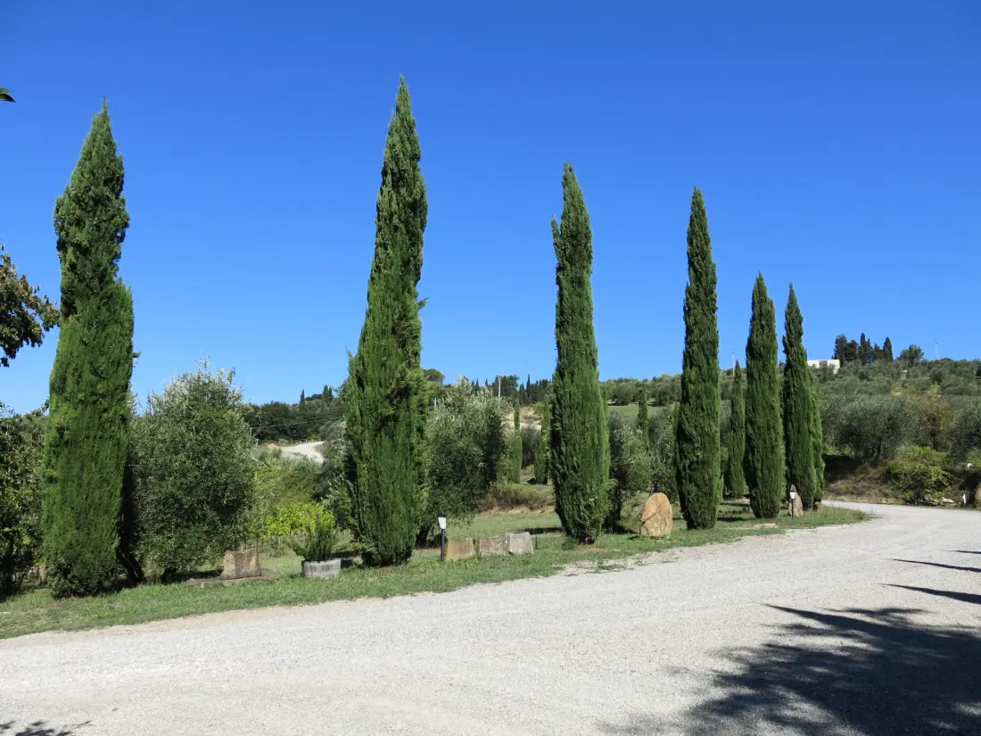 Maison de Vacances Peccioli
