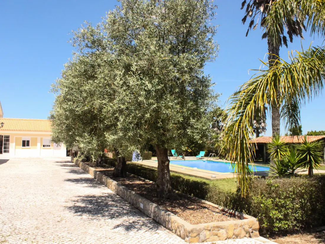 Maison de Vacances Pegões