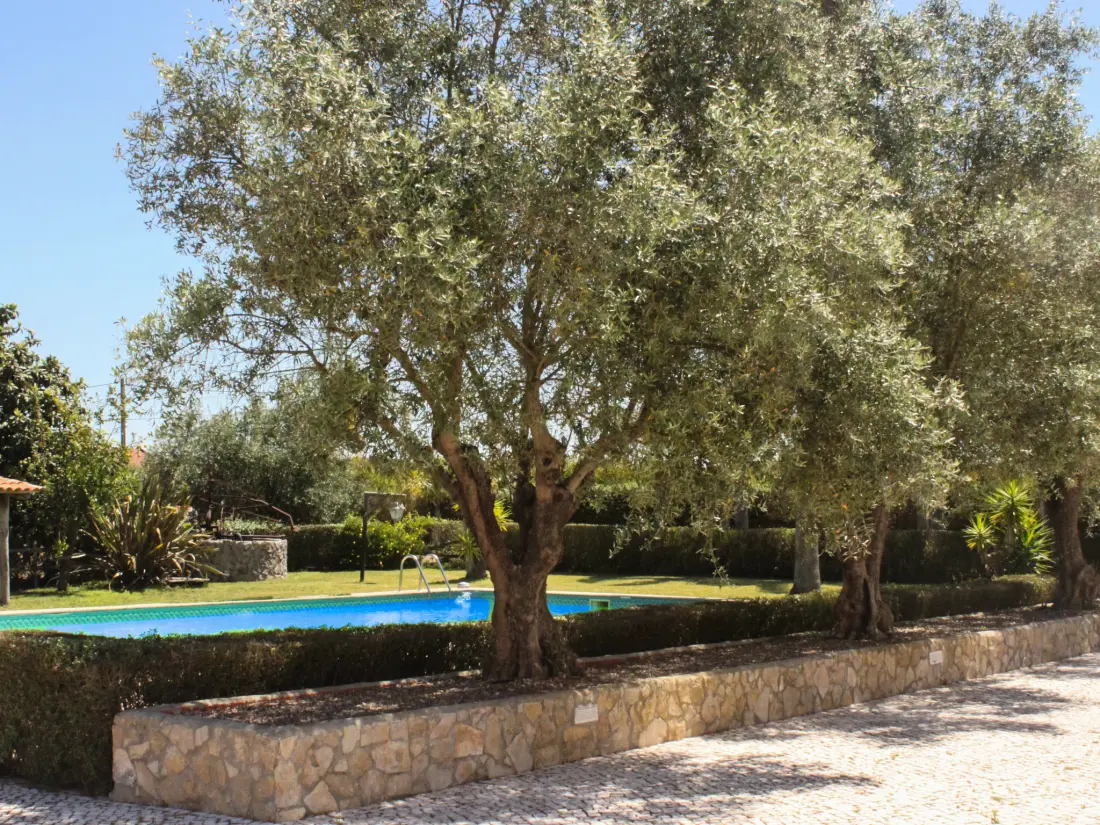 Maison de Vacances Pegões
