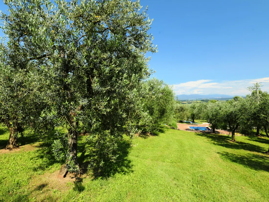 Maison de Vacances Penna in Teverina
