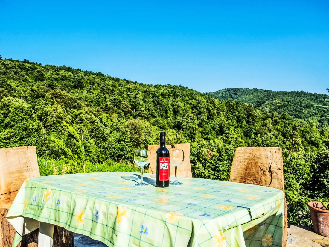 Maison de Vacances Pergine Valdarno
