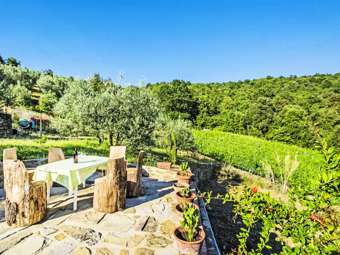 Maison de Vacances Pergine Valdarno