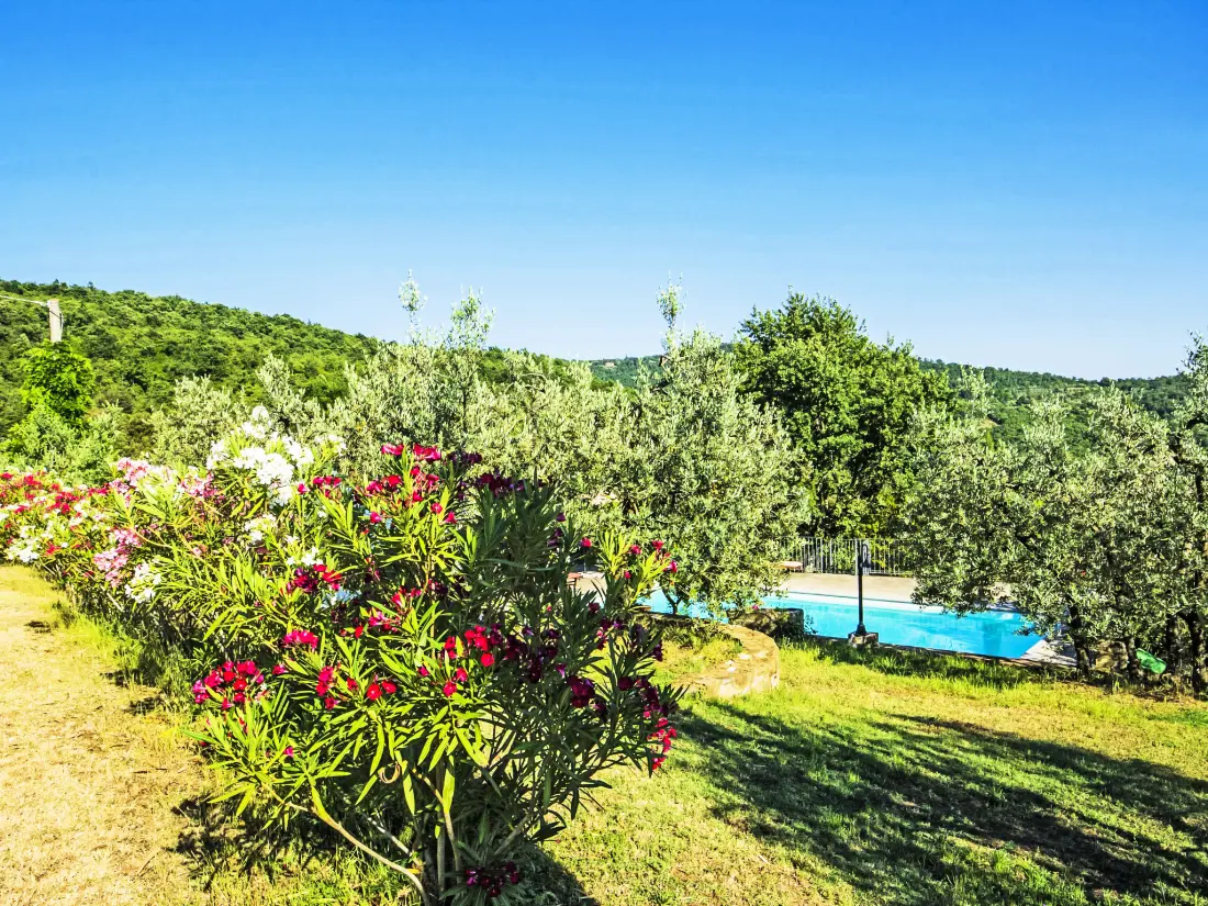 Maison de Vacances Pergine Valdarno