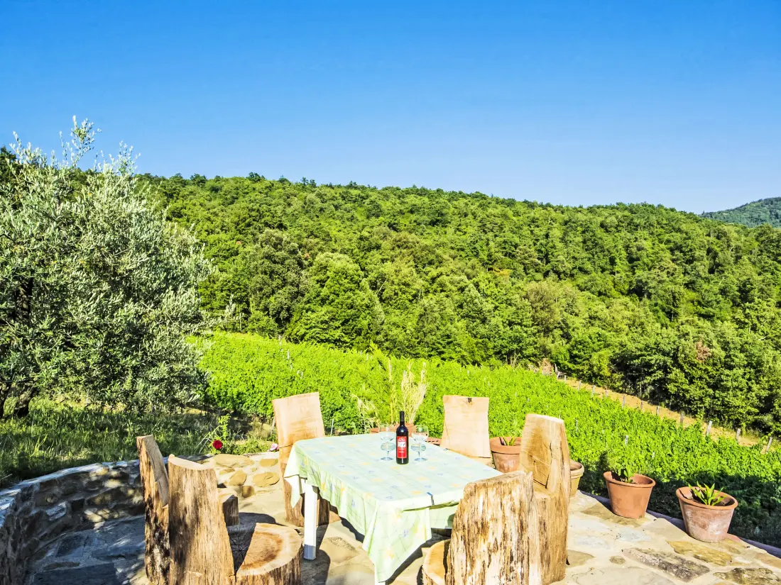 Maison de Vacances Pergine Valdarno