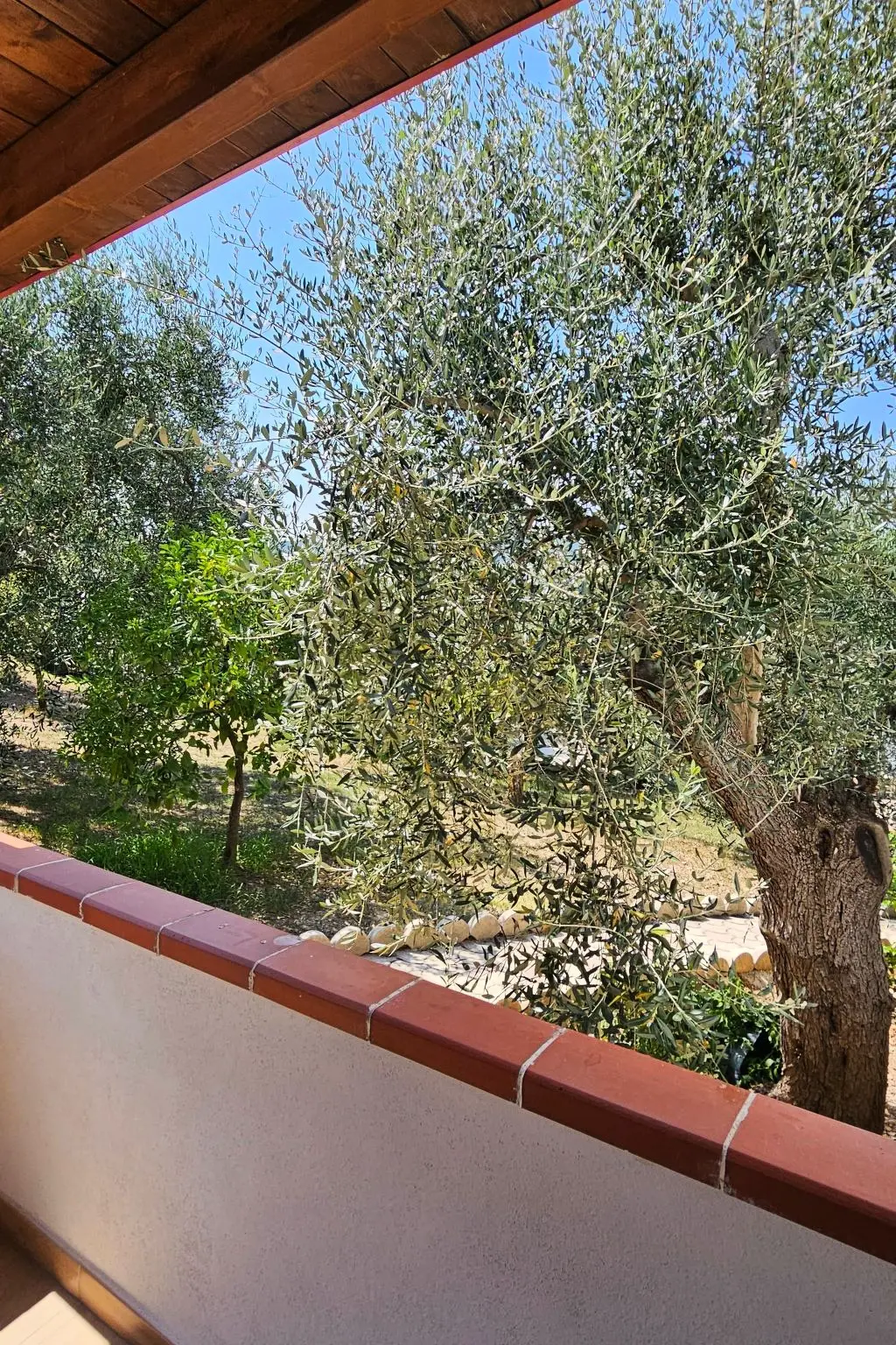 Location de Vacances Peschici
