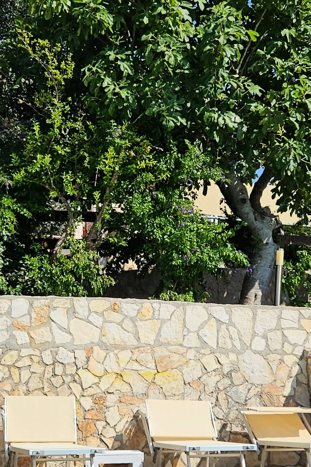 Location de Vacances Peschici