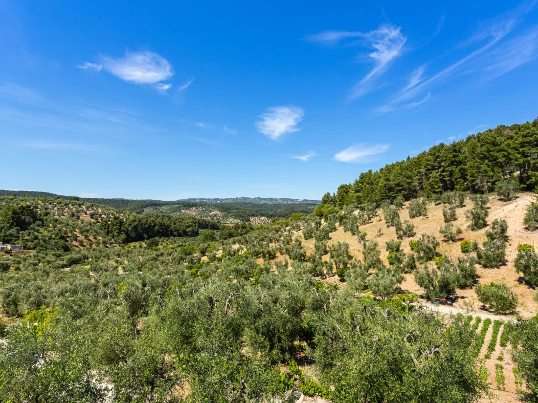 Résidence Villa Tavaglione