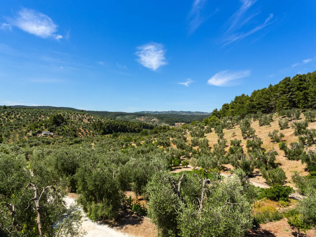 Résidence Villa Tavaglione