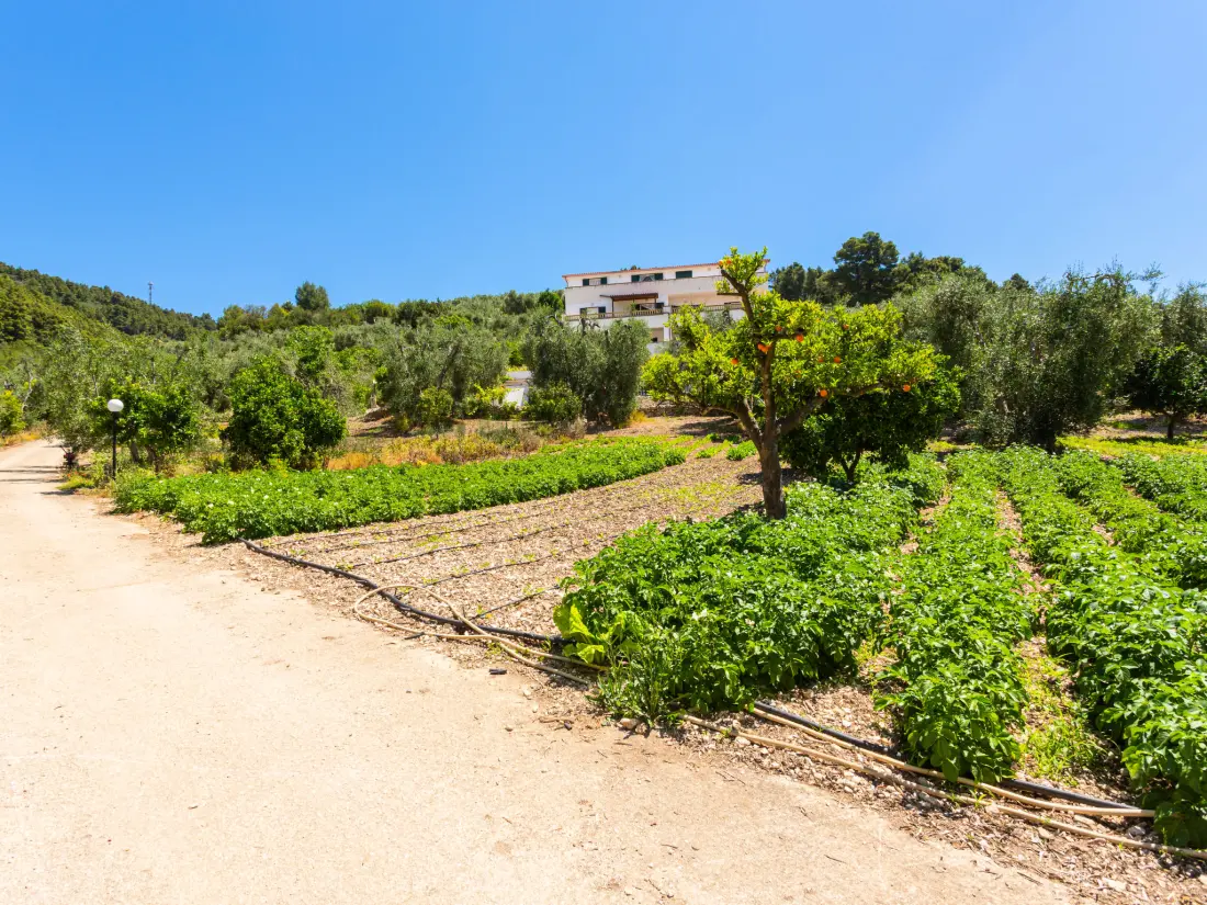 Résidence Villa Tavaglione