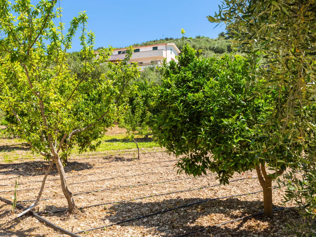 Résidence Villa Tavaglione
