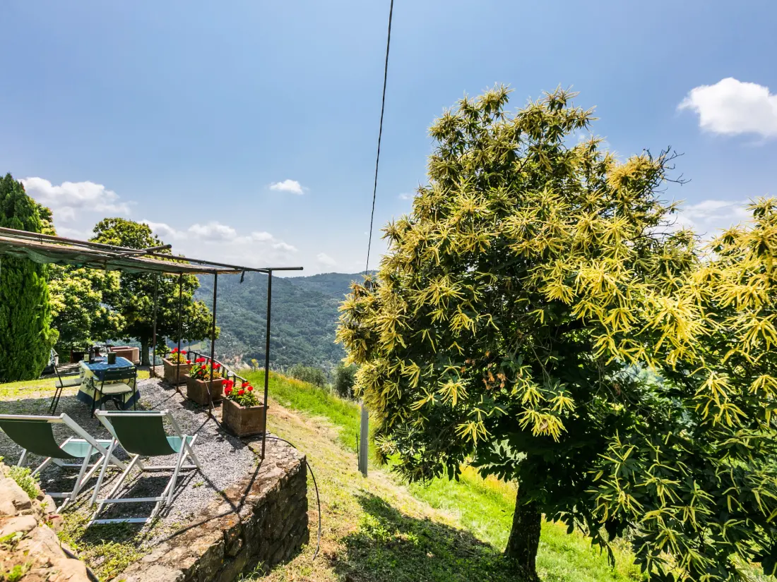Maison de Vacances Pescia
