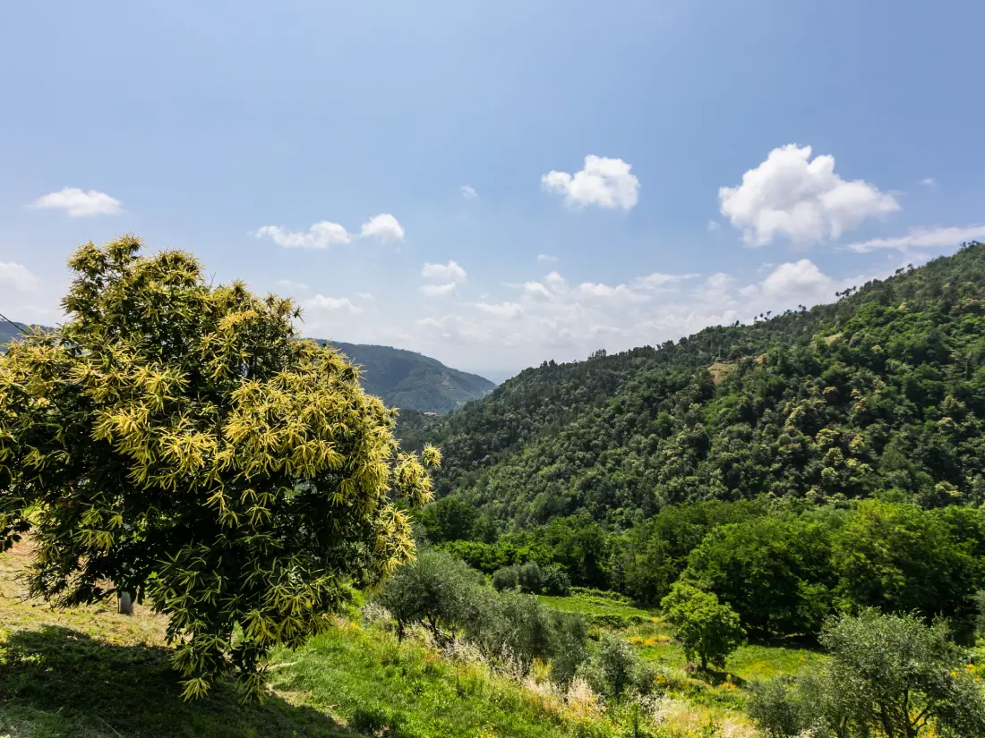 Maison de Vacances Pescia