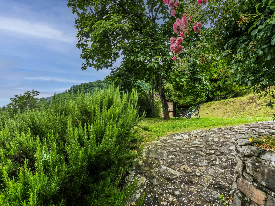 Maison de Vacances Pescia
