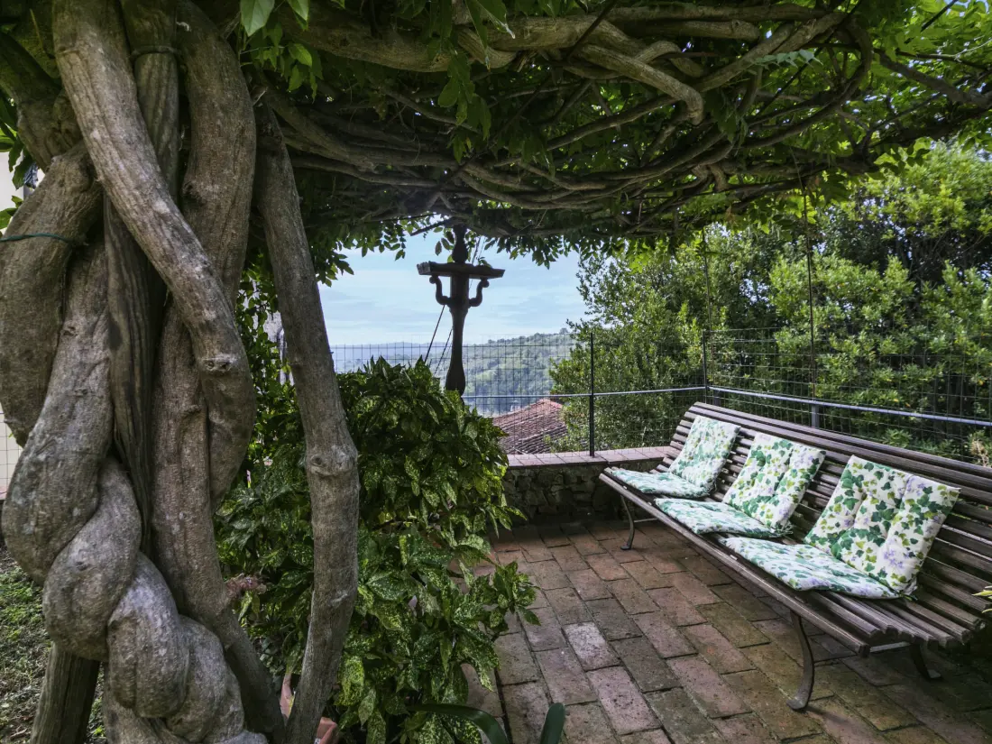 Résidence La casa del Fale di Collodi
