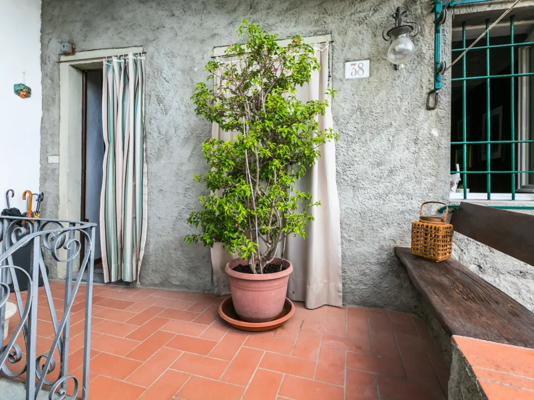 Résidence La casa del Fale di Collodi
