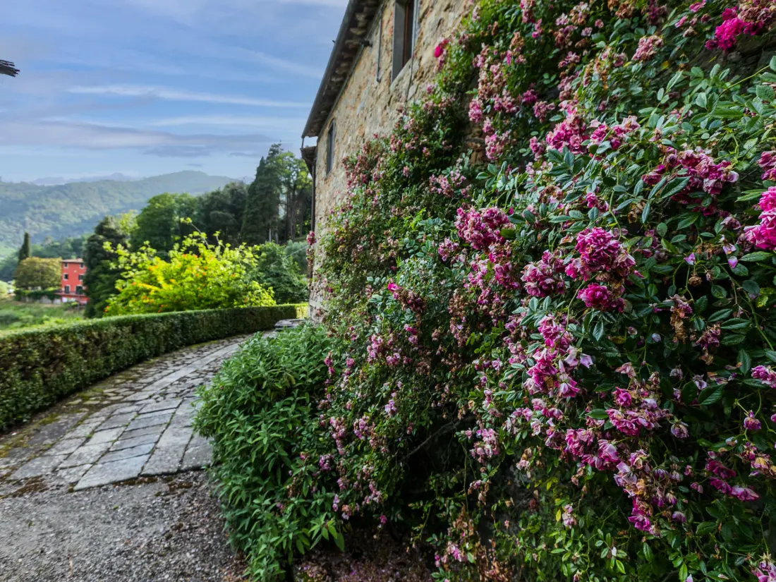 Maison de Vacances Pescia