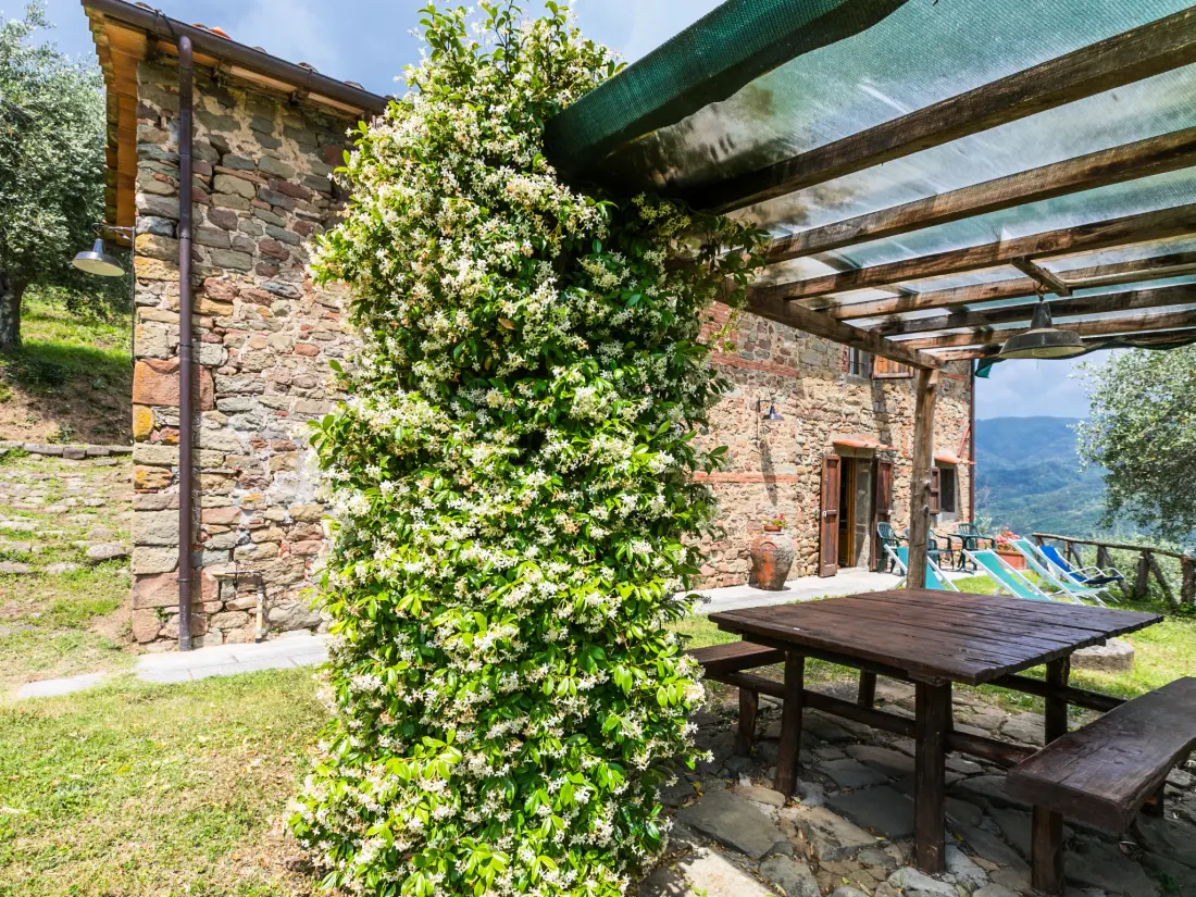 Maison de Vacances Pescia