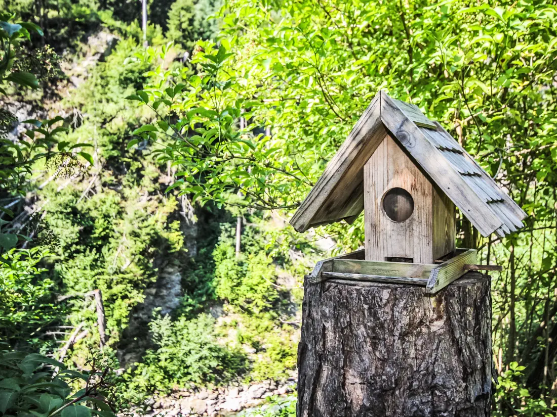 Chalet Pettneu am Arlberg