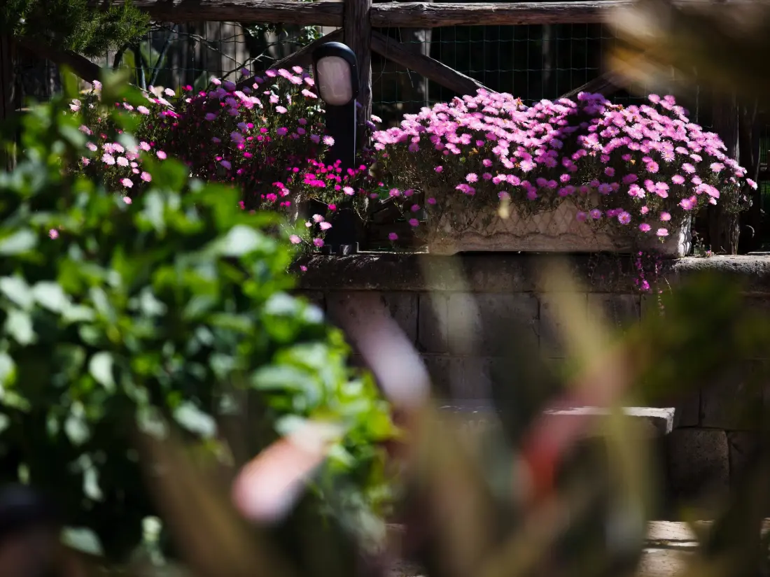 Maison de Vacances Piano di Sorrento