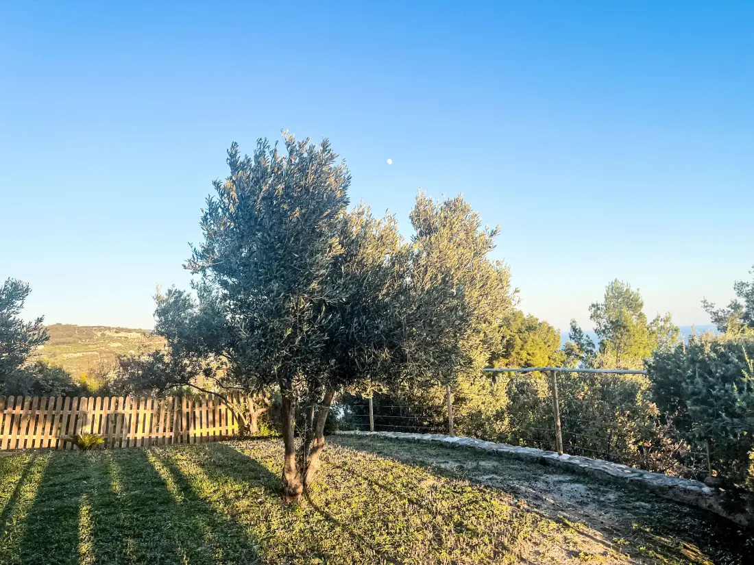 Résidence I Castellari