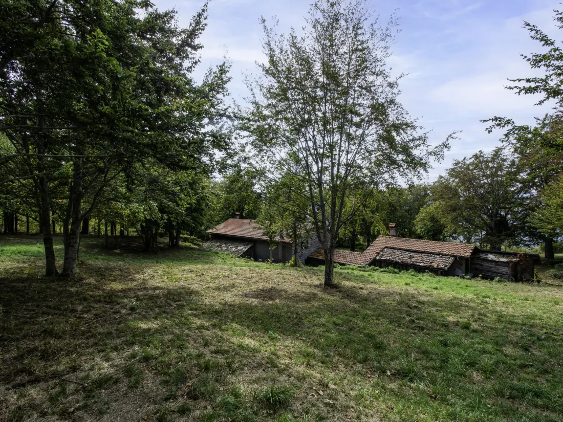 Maison de Vacances Pistoia