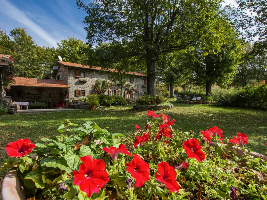 Maison de Vacances Pistoia