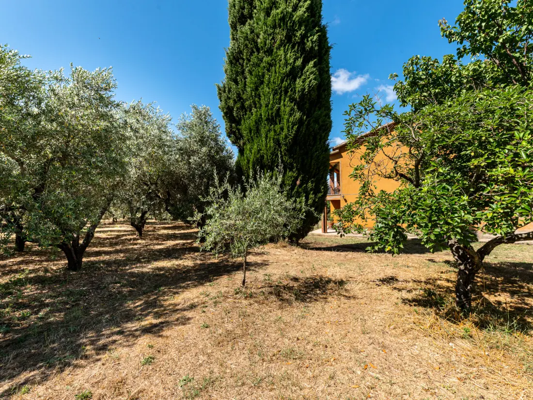 Maison de Vacances Pitigliano
