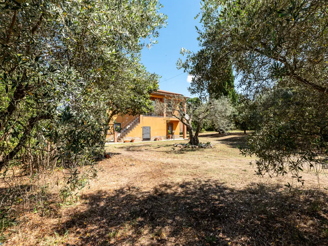 Maison de Vacances Pitigliano