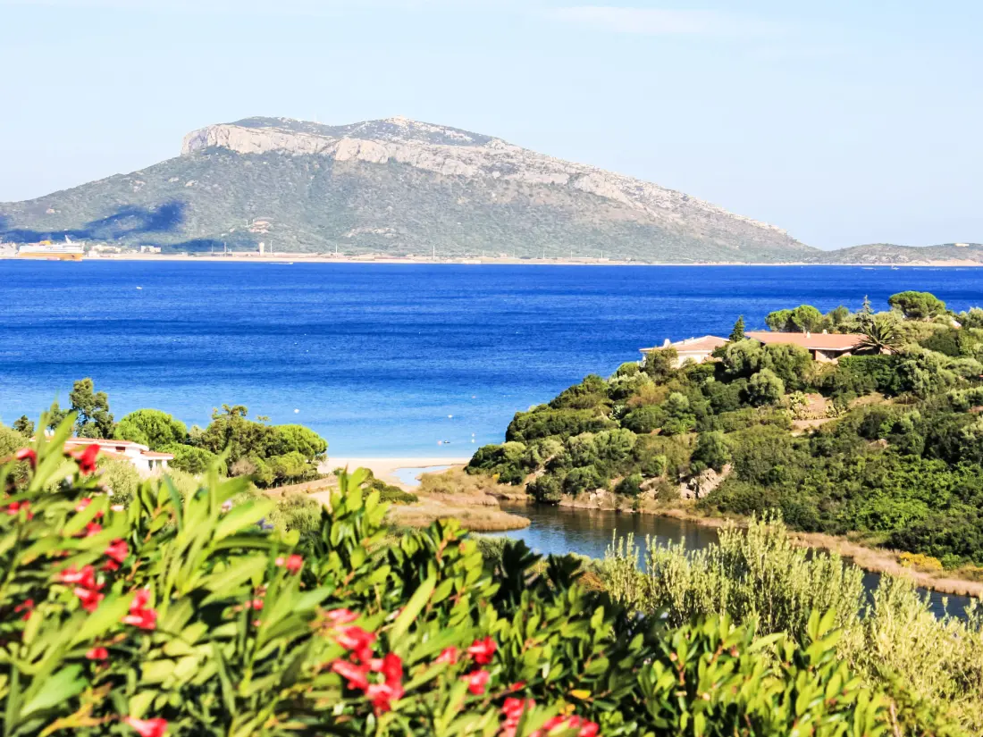 Maison de Vacances Pittulongu