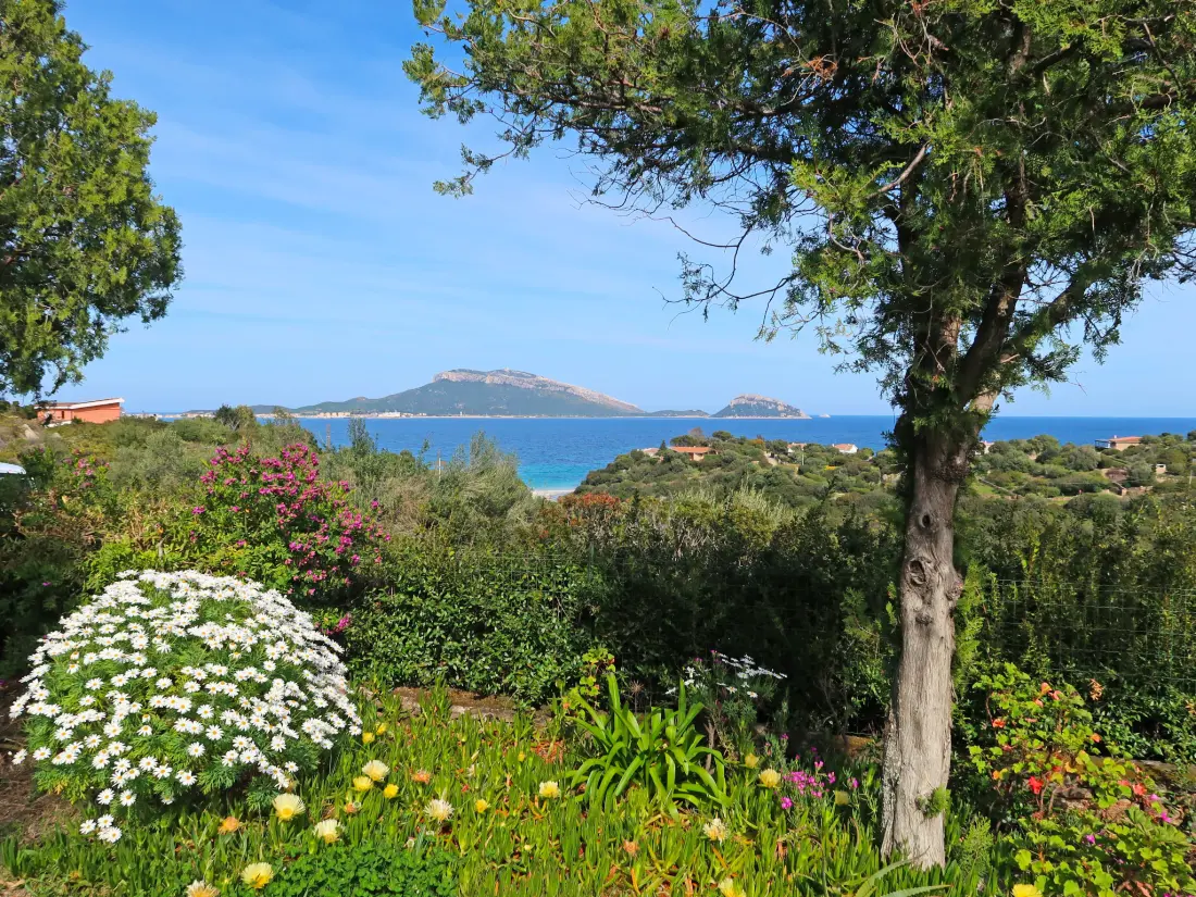 Maison de Vacances Pittulongu