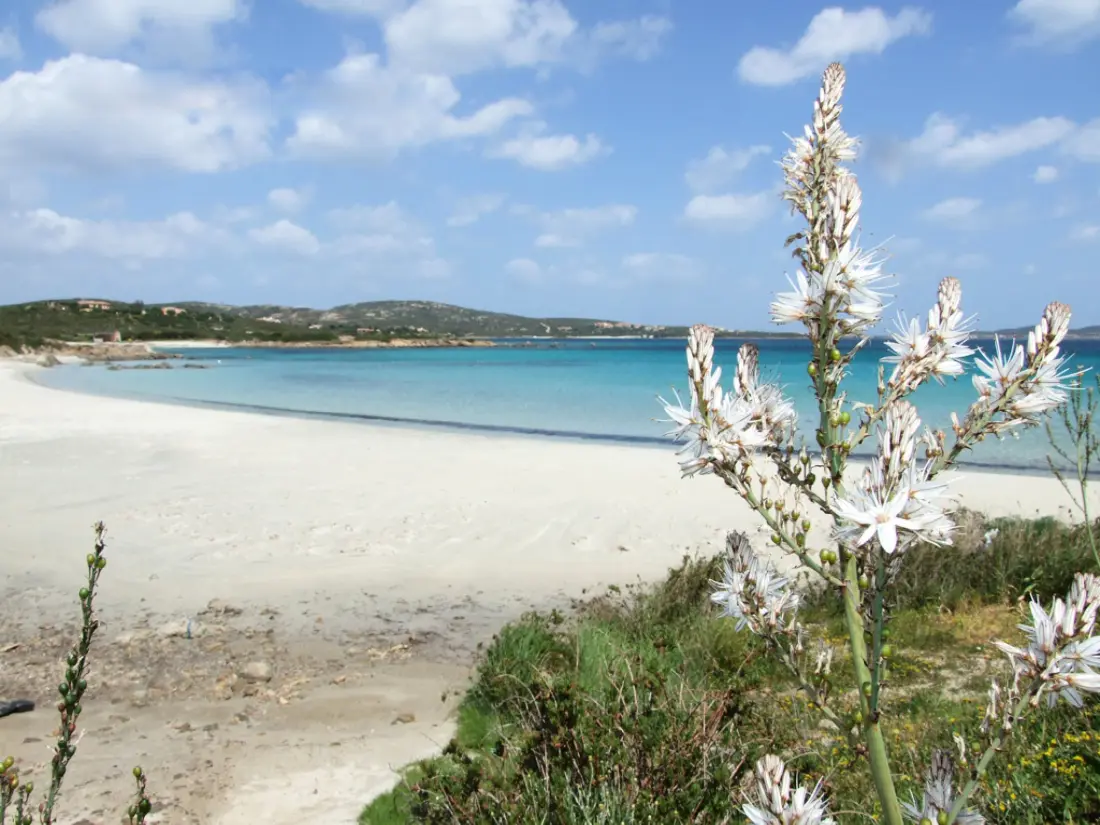 Maison de Vacances Pittulongu