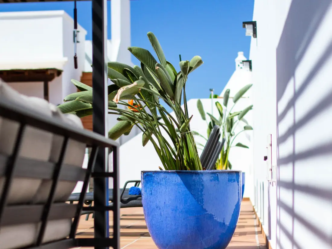 Maison de Vacances Playa Blanca
