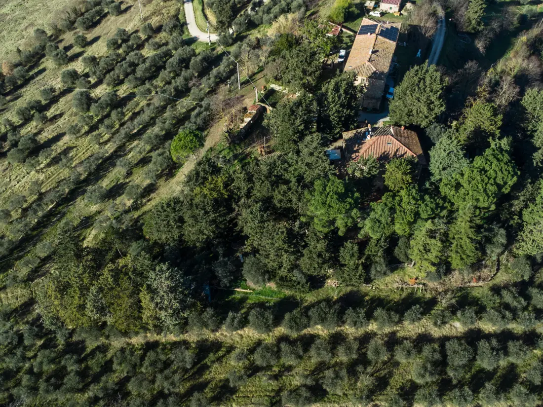 Maison de Vacances Poggibonsi