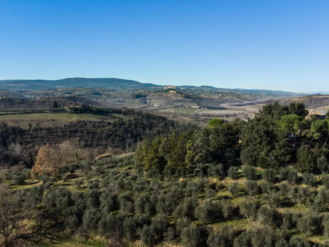 Maison de Vacances Poggibonsi