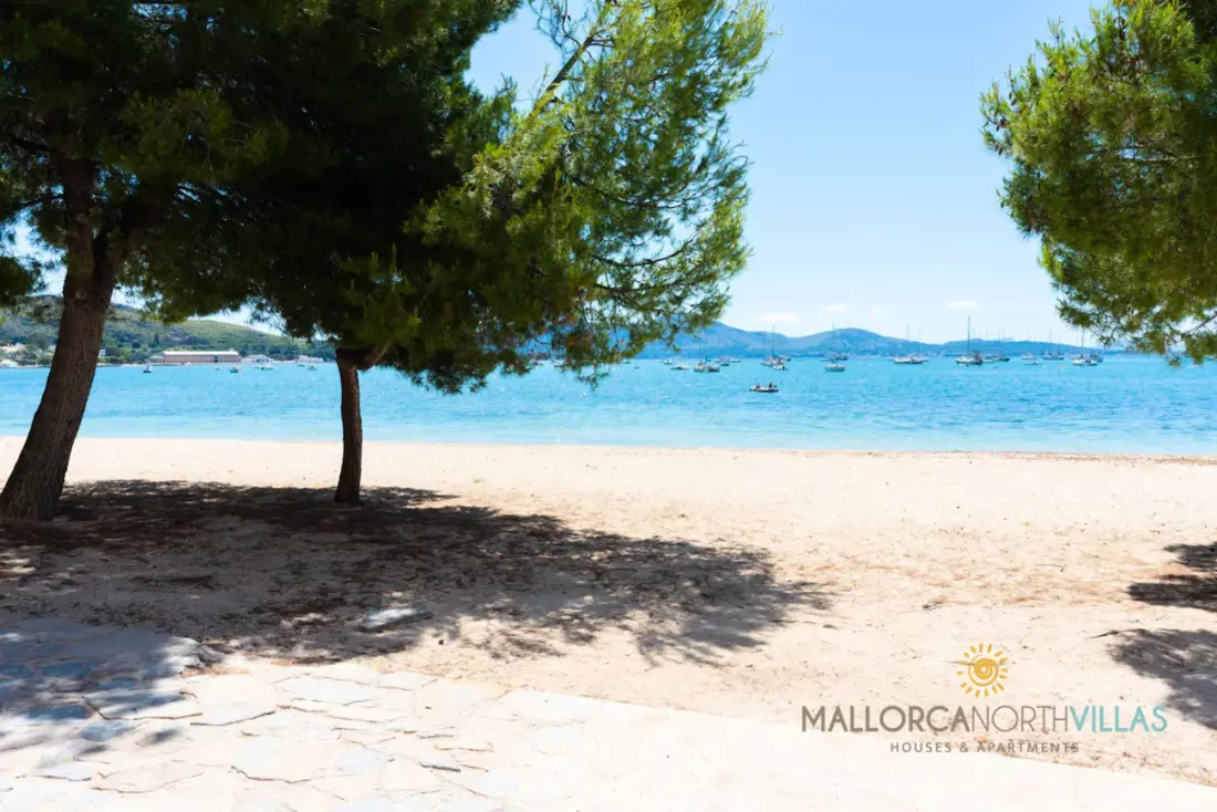 Appartements à Pollença - Port de Pollença