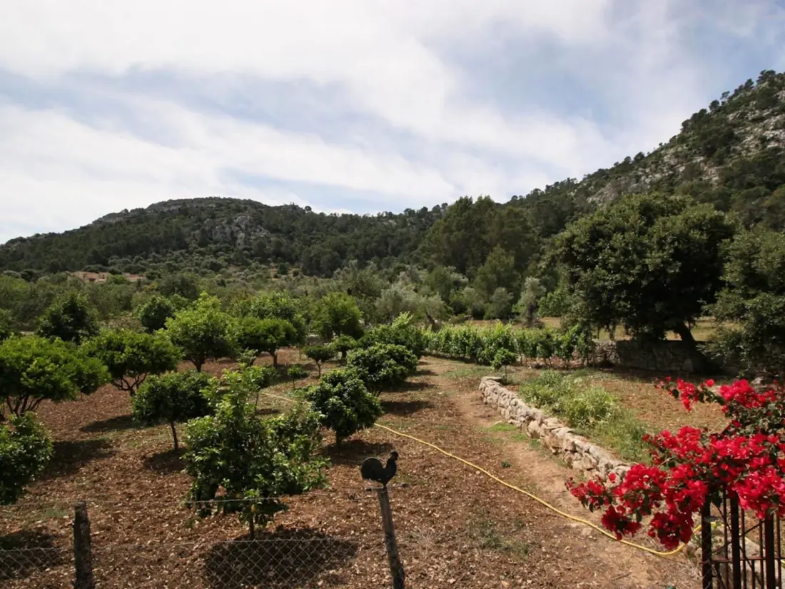 Maison de Vacances Pollença