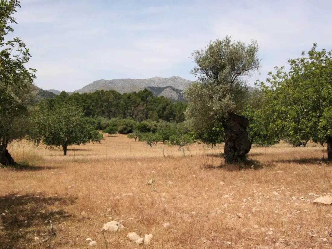 Maison de Vacances Pollença
