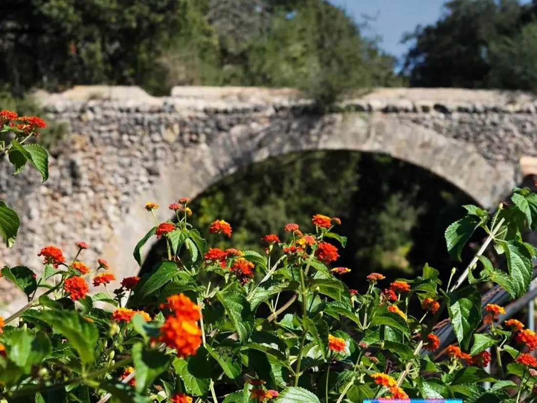 Maison de Vacances Pollença