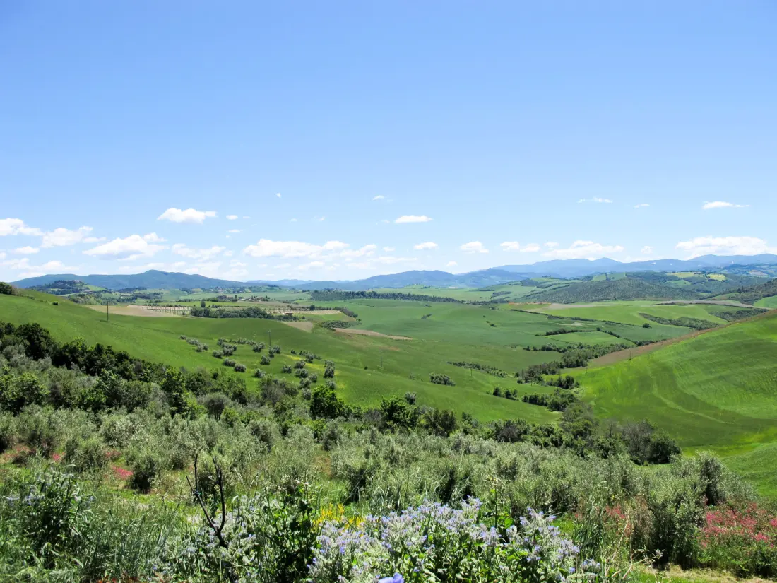 Résidence Podere Sant'Elisa