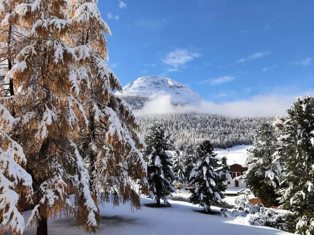 Résidence Chesa Azalea 30