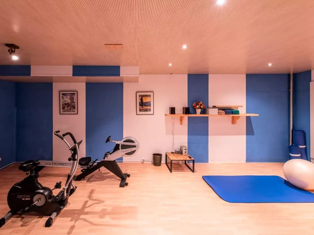 Résidence Chesa La Furia Dach Whg 45m2