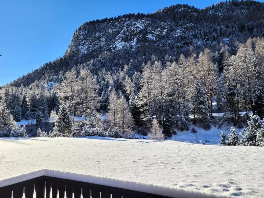 Résidence Curtins16