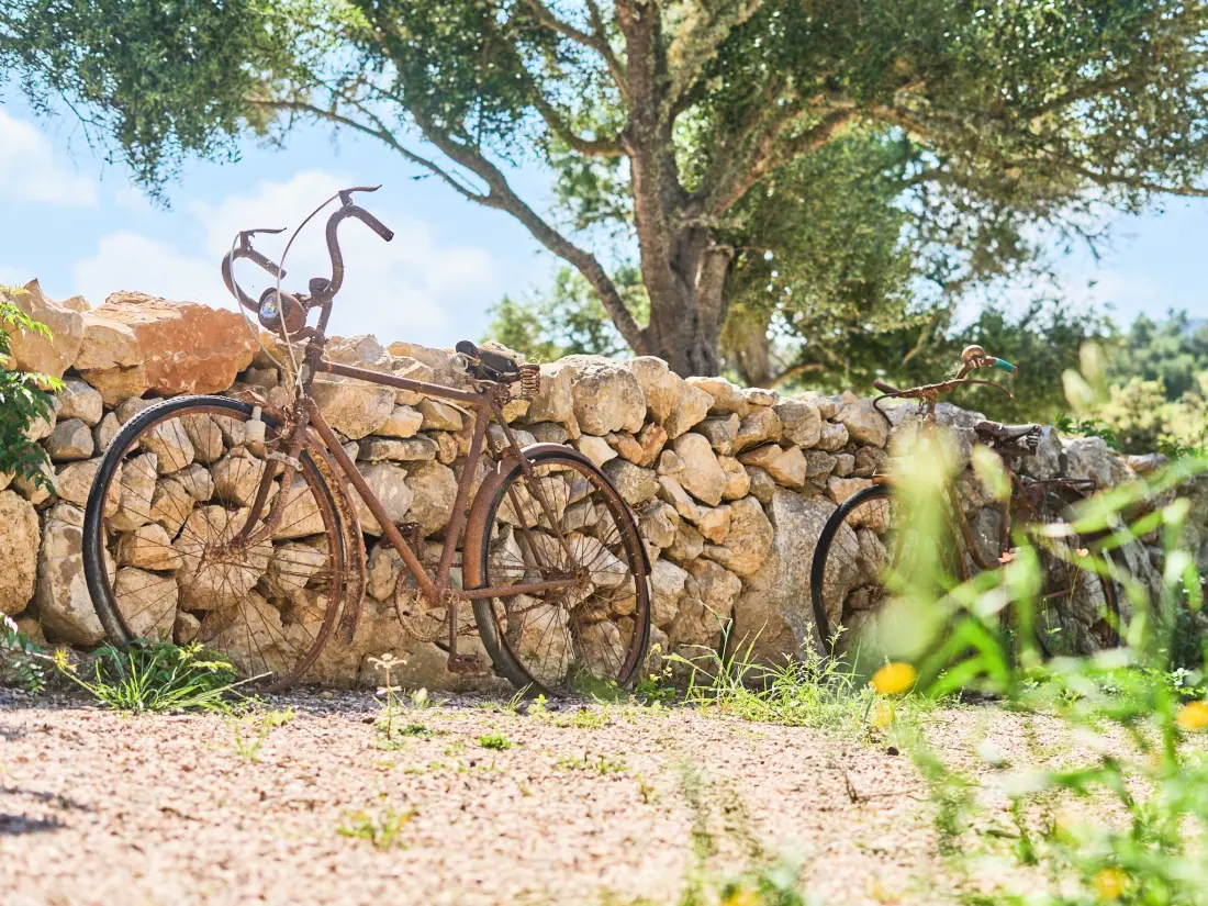Maison de Vacances Portocolom
