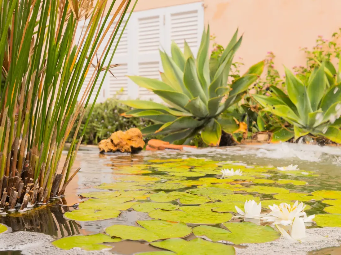 Maison de Vacances Portocolom