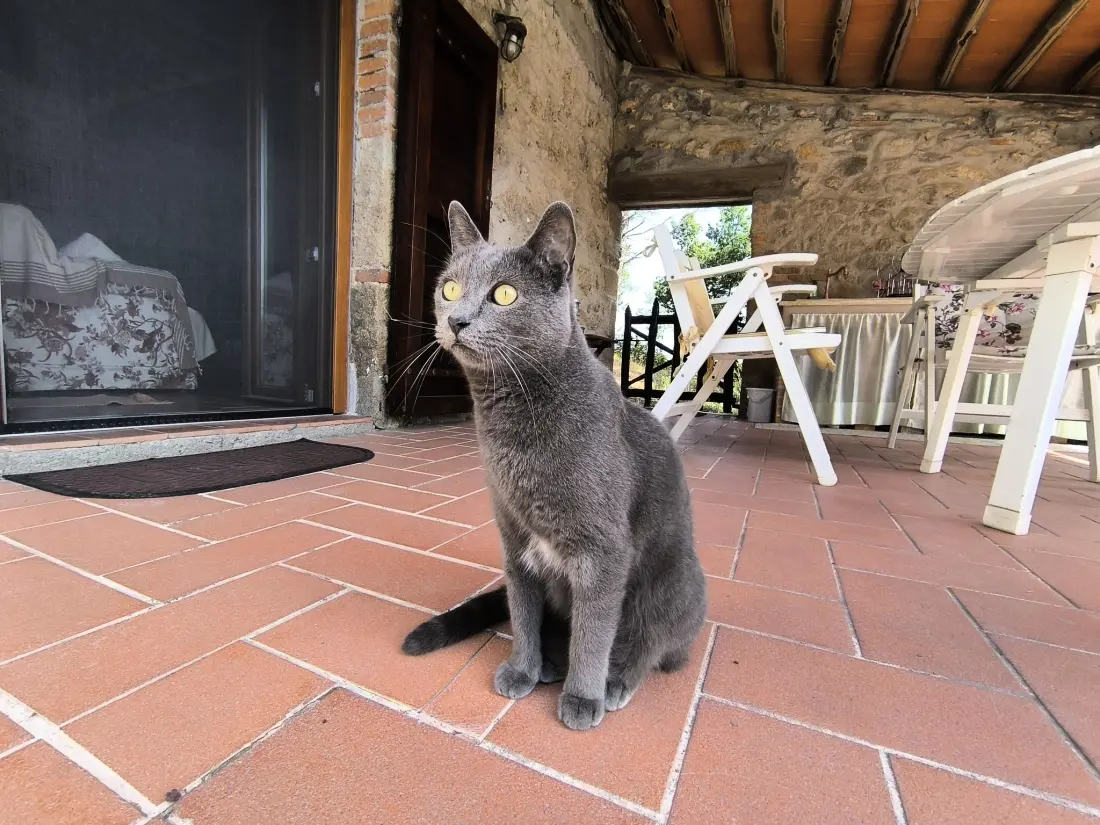 Maison de Vacances Prata