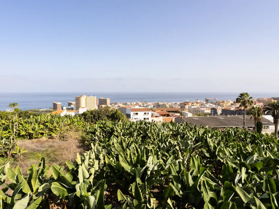 Maison de Vacances Puerto de la Cruz