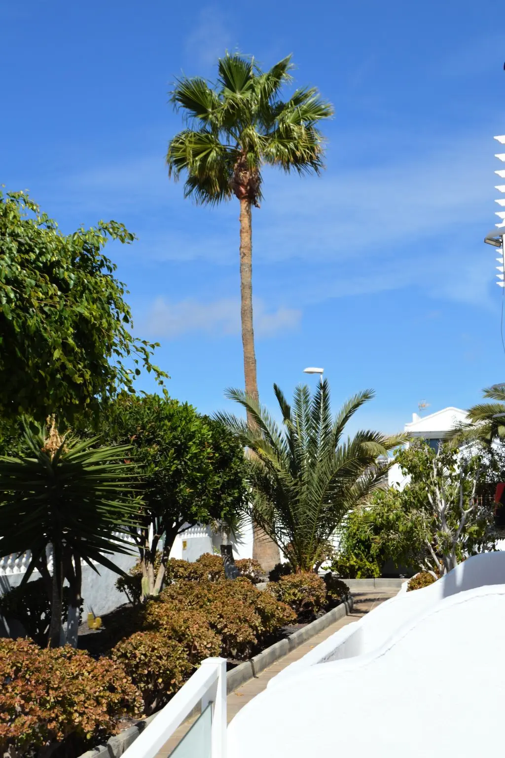 Résidence für 5 Personen ca. 65 m&sup2; in Puerto del Carmen, Lanzarote (Südküste von Lan